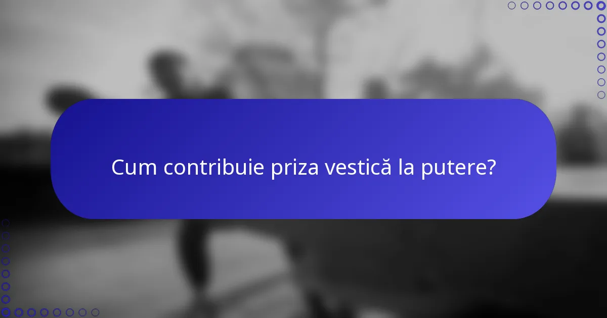 Cum contribuie priza vestică la putere?
